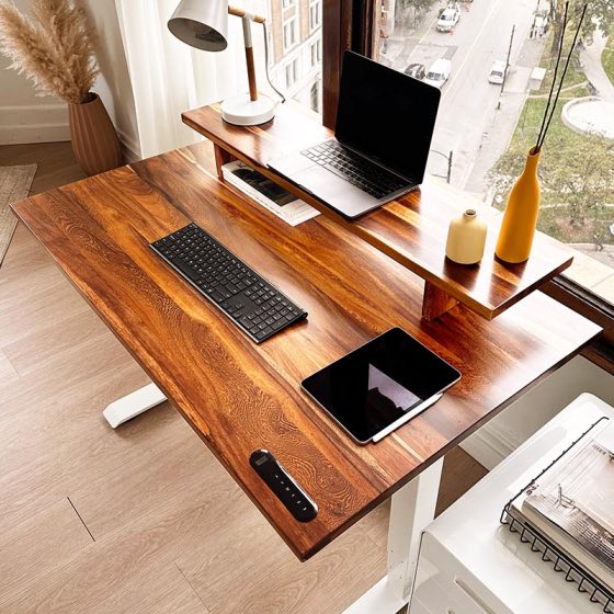 Wildwood Standing Desk - Image 25