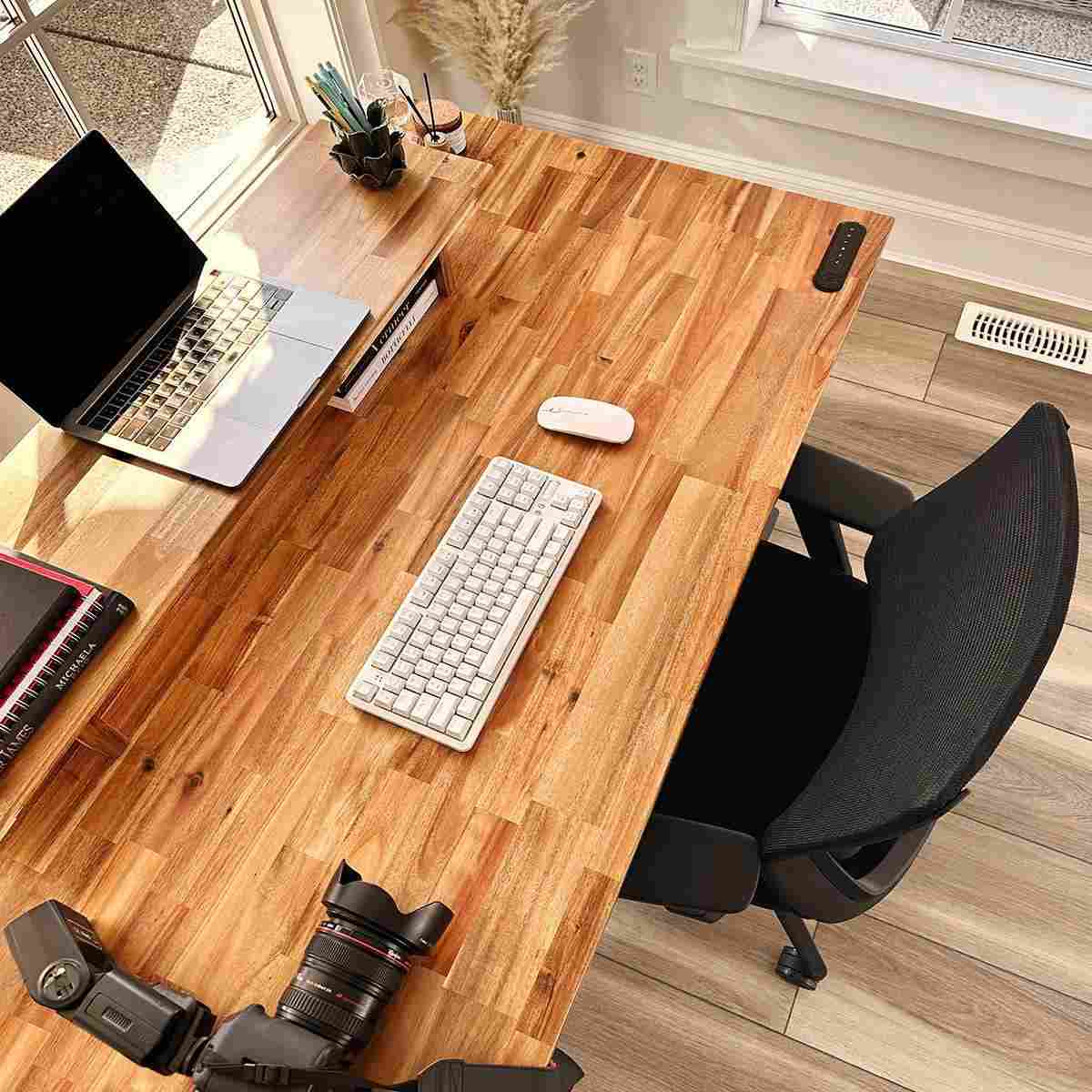 Wildwood Bundle - Image 8